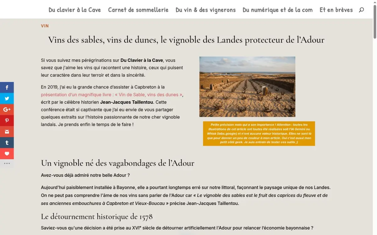 Article du blog Du clavier à la cave consacré aux vins des sables et au vignoble des Landes